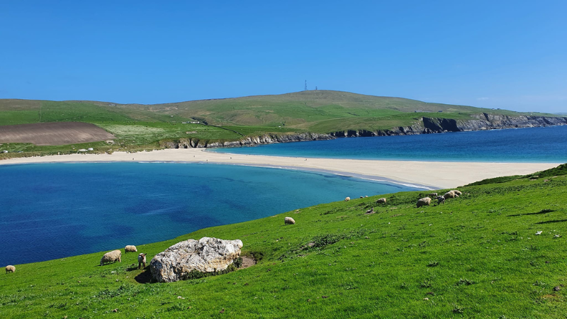  Vandretur p Shetland