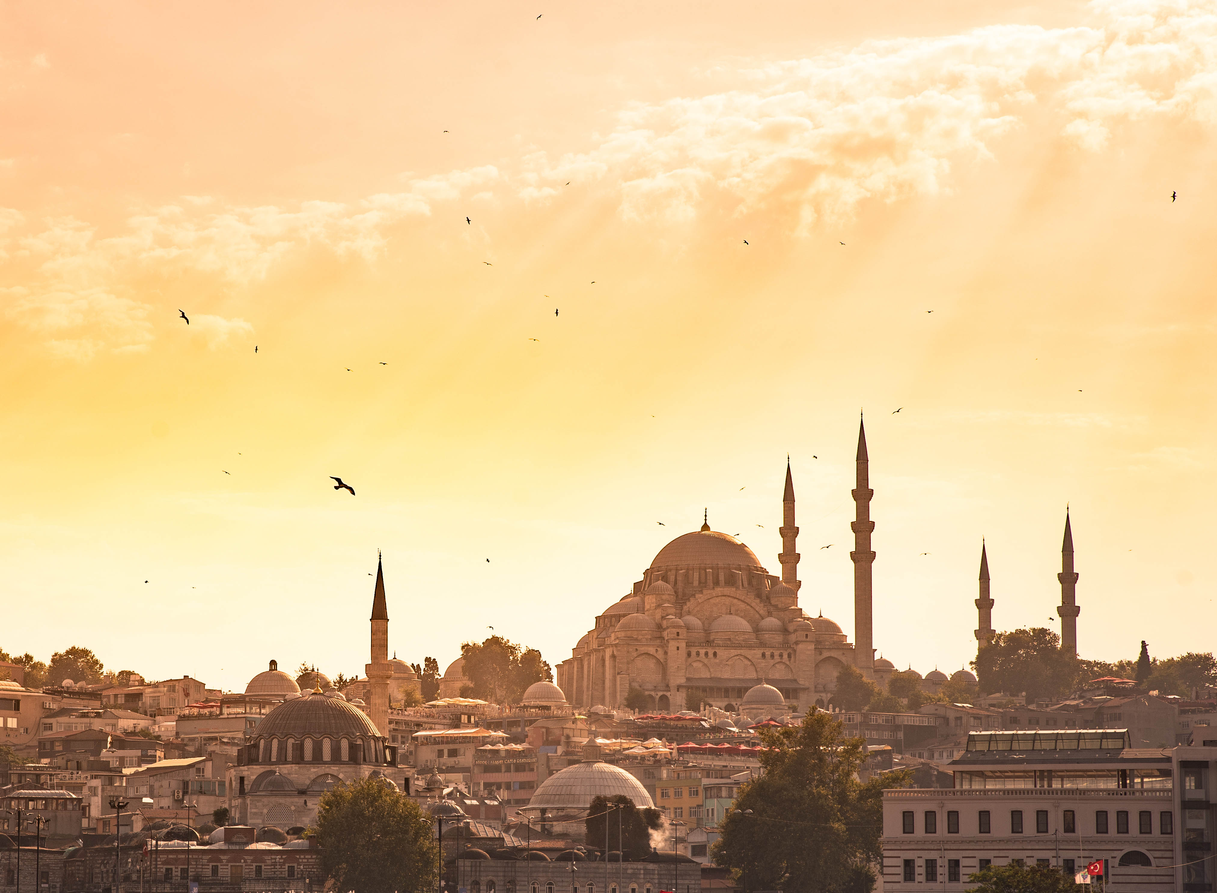 Istanbul - i spora til Harald Hardråde